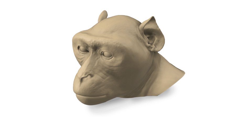rhesusPhantom