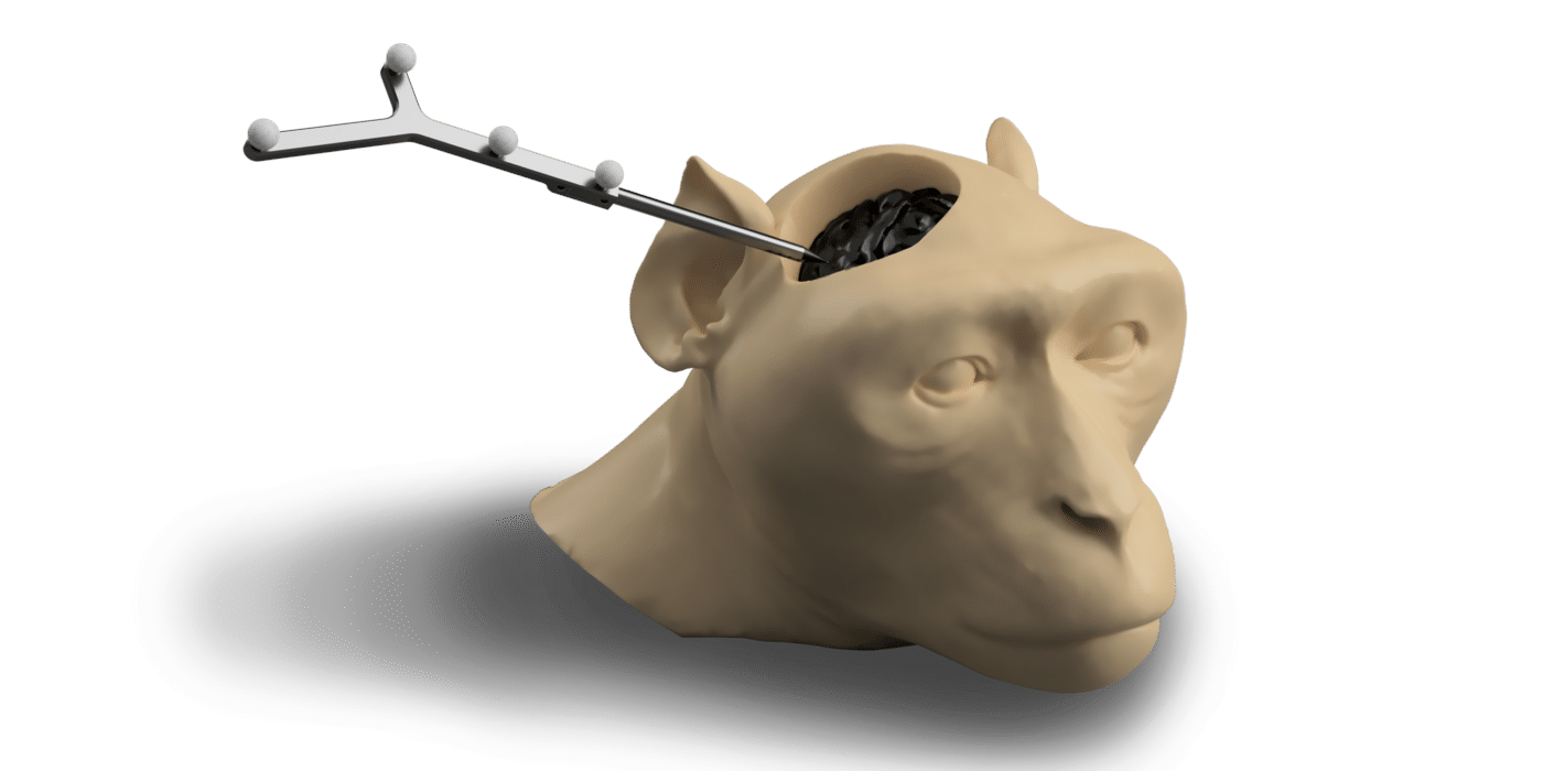cortEXplore Simulation